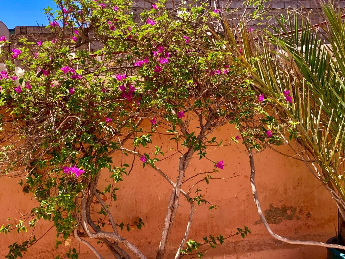 Dar Zemrane Hotel Marrakesh Buitenkant foto