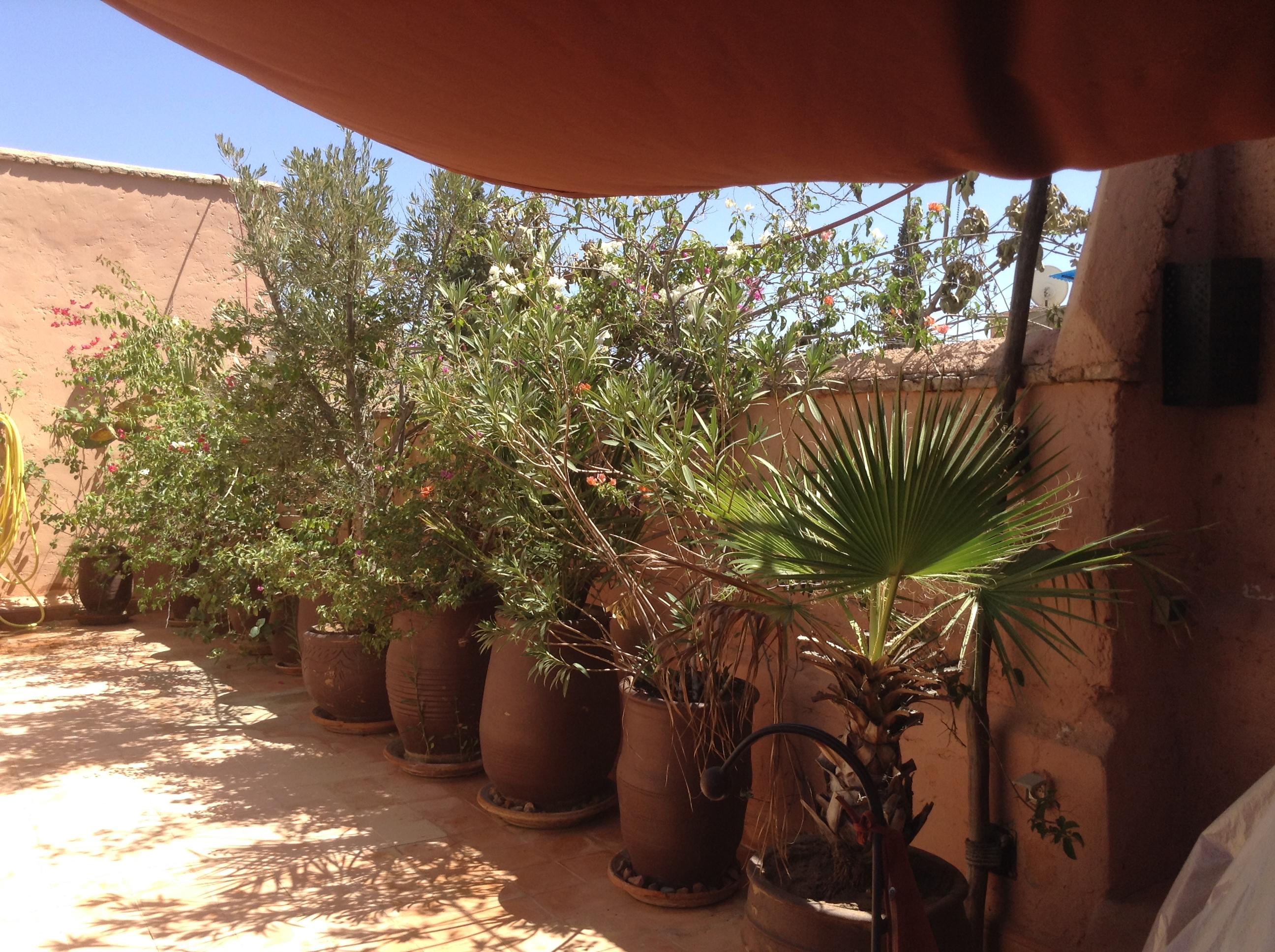 Dar Zemrane Hotel Marrakesh Buitenkant foto