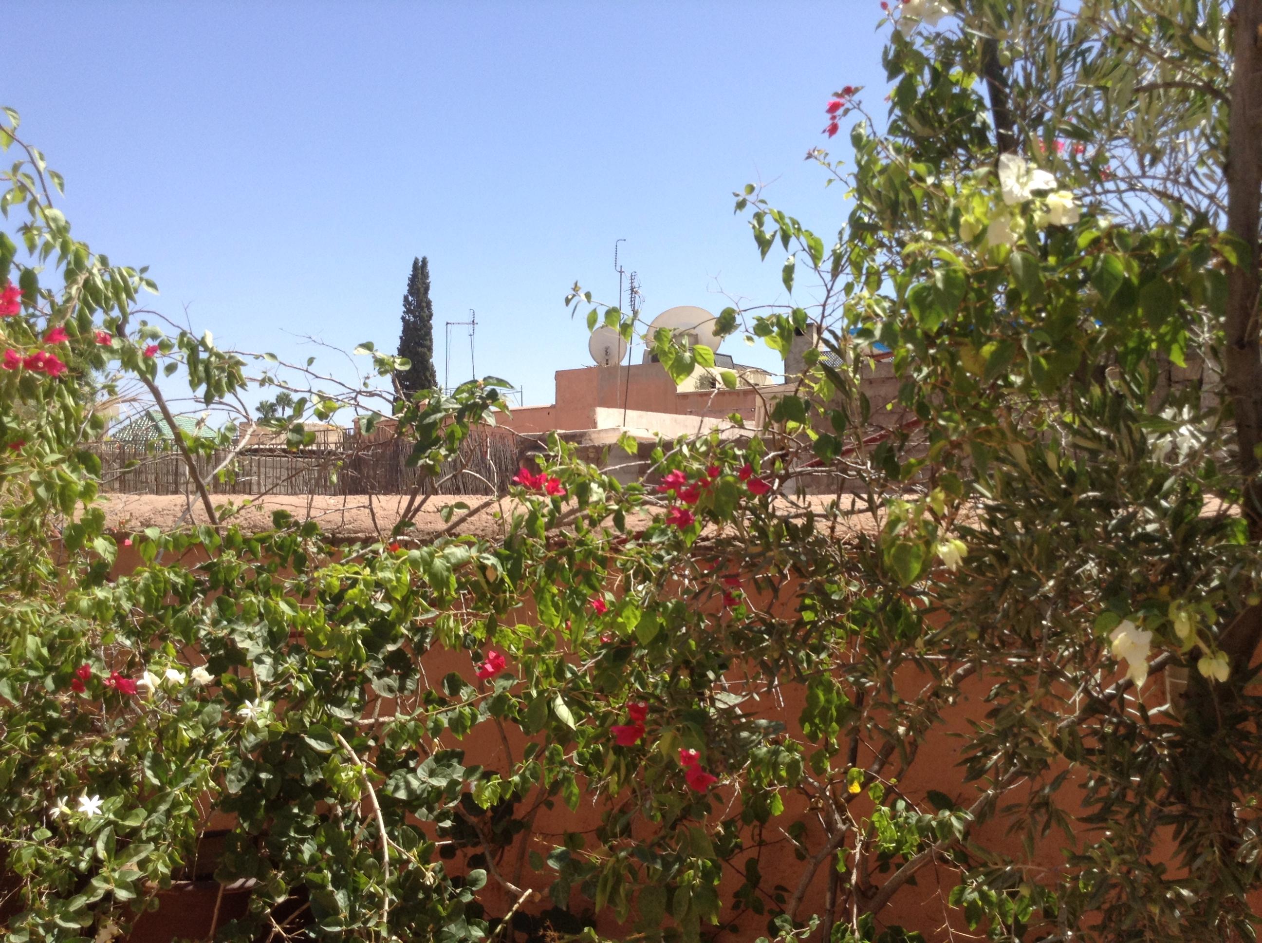 Dar Zemrane Hotel Marrakesh Buitenkant foto